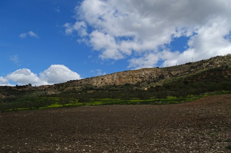 DSC09994