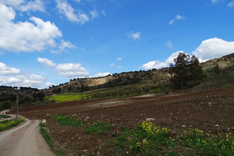 DSC09995