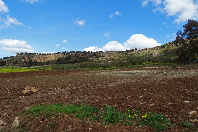 DSC09996