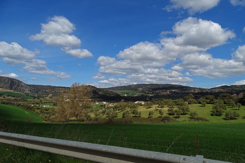DSC09997