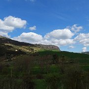 DSC00003
