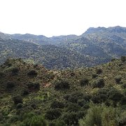 DSC00006