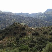 DSC00007