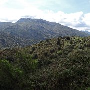 DSC00010
