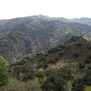 DSC00011