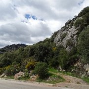 DSC00012