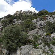 DSC00013