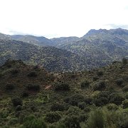 DSC00014