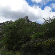 DSC00015
