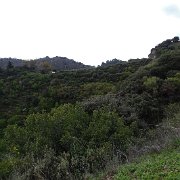 DSC00038