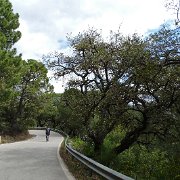 DSC00051