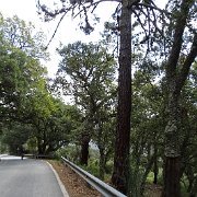 DSC00053