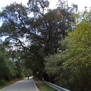 DSC00054