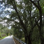 DSC00055