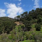 DSC00063