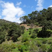 DSC00064