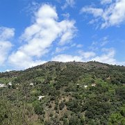 DSC00067