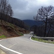 DSC00079