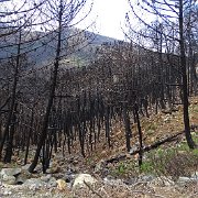 DSC00080