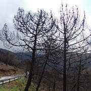 DSC00082