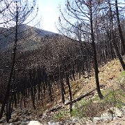 DSC00084