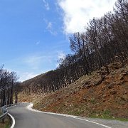 DSC00085