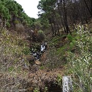DSC00087