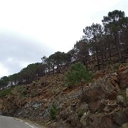 DSC00090