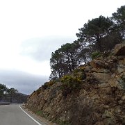 DSC00091