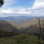 DSC00098