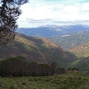 DSC00100