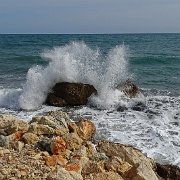 DSC00124