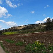 DSC09995