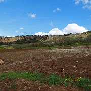 DSC09996