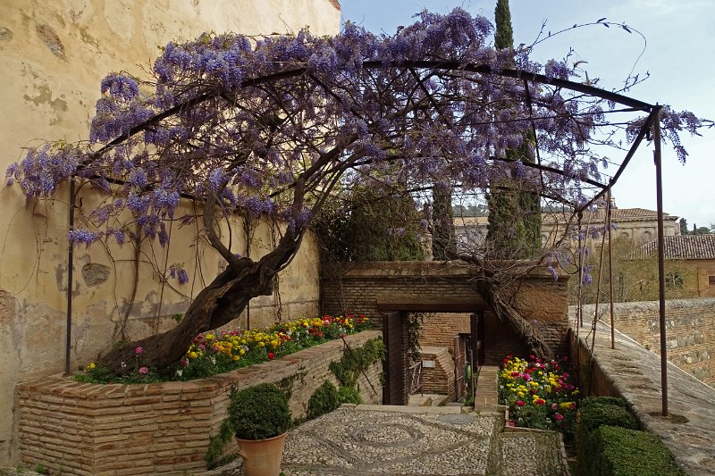 DSC00531