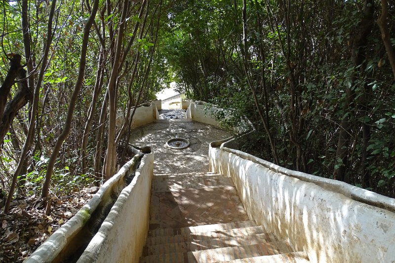 DSC00620