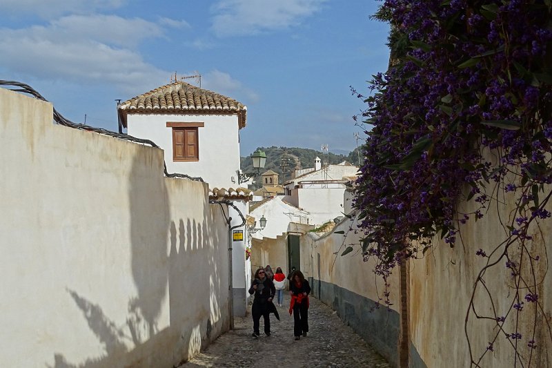 DSC00642