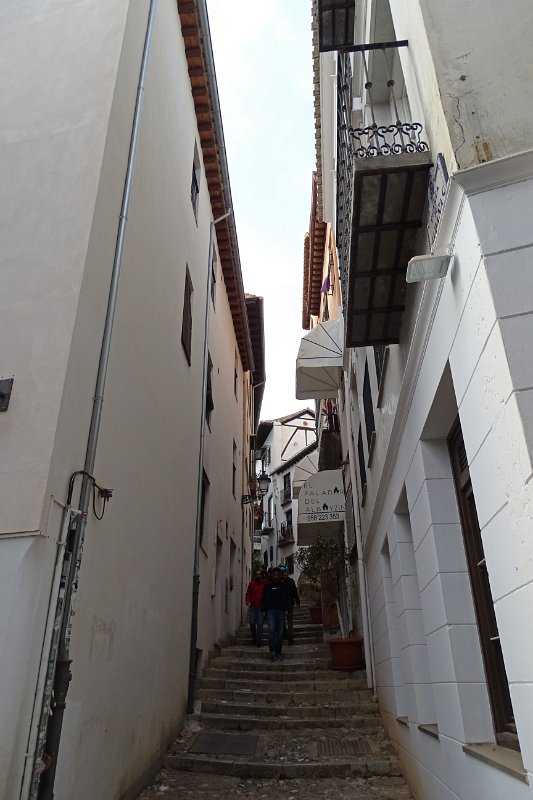 DSC00705