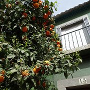DSC00396