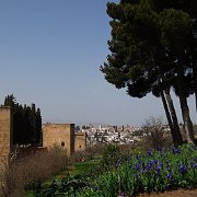 DSC00403