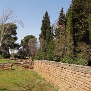 DSC00409