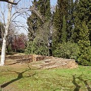 DSC00410