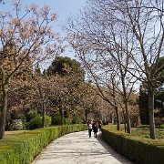 DSC00416