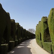 DSC00417