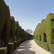 DSC00418