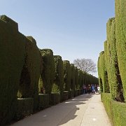 DSC00422