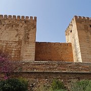 DSC00445