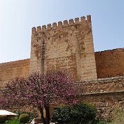 DSC00446