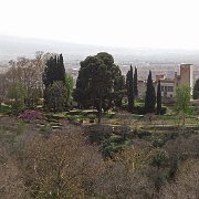 DSC00520