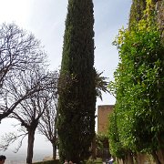 DSC00522